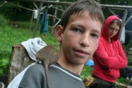 fotos_235