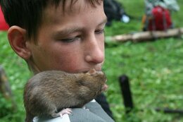fotos_237