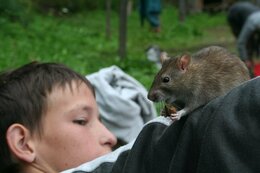 fotos_240