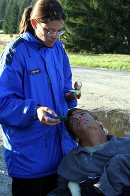 fotos_311
