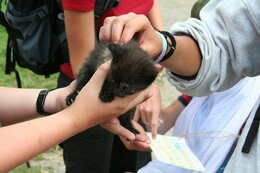 fotos_352