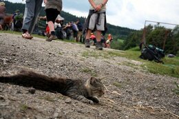 fotos_398