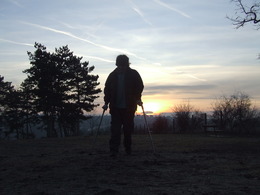 DSCF6445