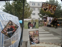 OLYMPUS DIGITAL CAMERA