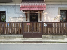 DSCN6178