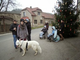DSCN6183