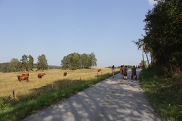 IMG_4909