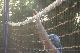 IMG_6546