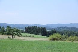 IMG_6649