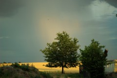 TÁBŮREK /ČERVENEC 17/