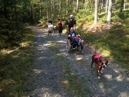 IMG_20180816_154333_HDR