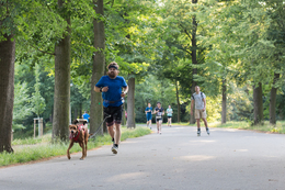 _MG_6484-49