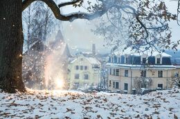 _MG_9943-26