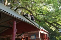 DRSNÝ TÁBOR /SRPEN 19/