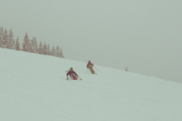 _MG_0557-22