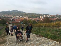 74525055_411069753128131_6128901976156536832_n