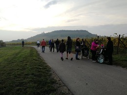 76644661_2571173969633697_1933664383410372608_n