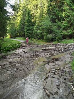 IMG_20200613_170508