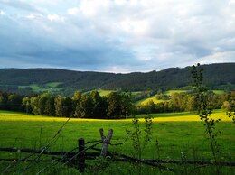 IMG_20200615_102308