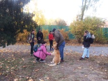 IMG_0032 copy