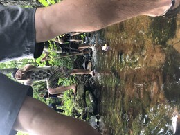 IMG_0418