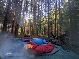 IMG_20210809_081946