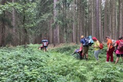 IMG_6361