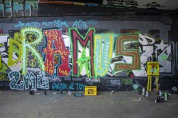 IMG_3234
