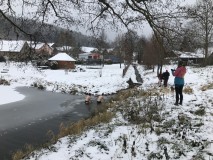 IMG_7338