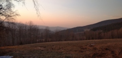 IMG_20220319_174708