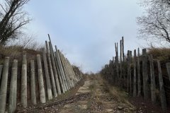 IMG_4075