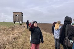 IMG_7711