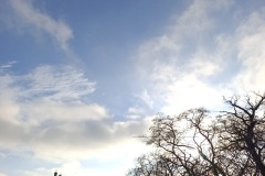 a76d2421-f228-449e-b466-73e8ed1b49d9