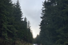 IMG_2415