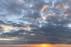 IMG_5508