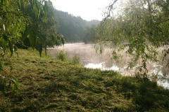 IMG_20230528_065846