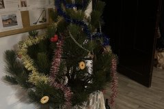 IMG_0236