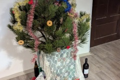 PXL_20251213_180513624.MP_