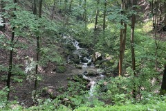 IMG_8905