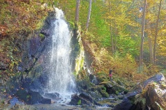 IMG20221008145945