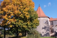 IMG_20221008_134949
