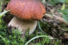 IMG_3546