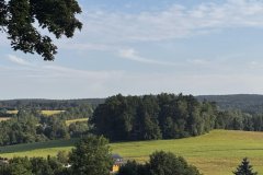 IMG_3555
