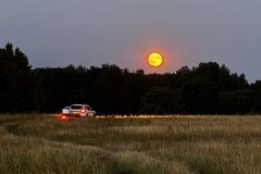 IMG_3559