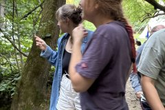 IMG_1392