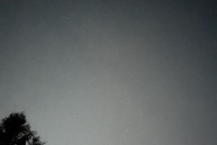 IMG_0649
