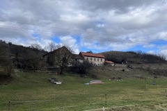IMG_4392