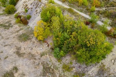 DJI_0341-Pano