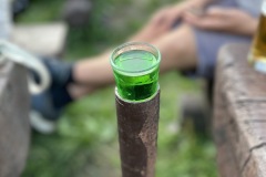 IMG_9546