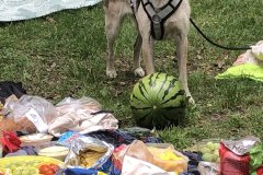 IMG_9523